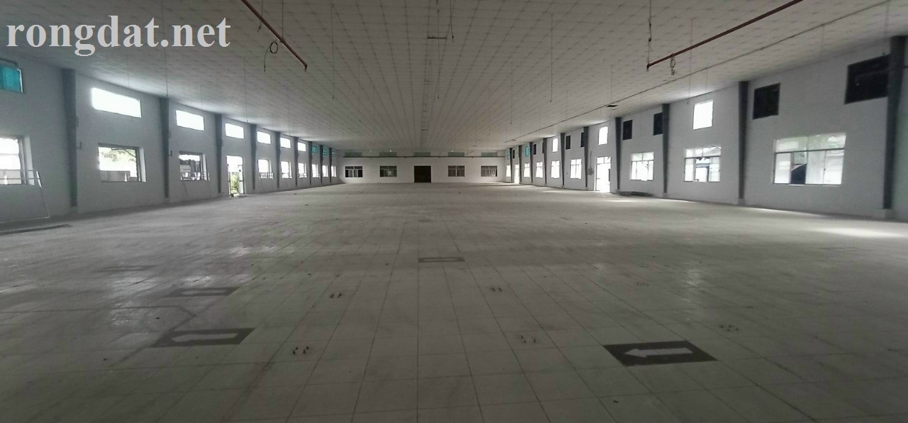 Cho thuê 5000 m2 nhà xưởng khu vực Thuận An, Bình Dương