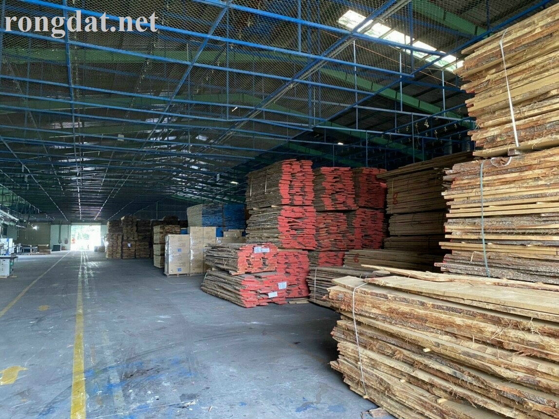 Cho thuê nhà xưởng tại Cụm công nghiệp Tân Phước khánh, Tân Uyên, Bình Dương