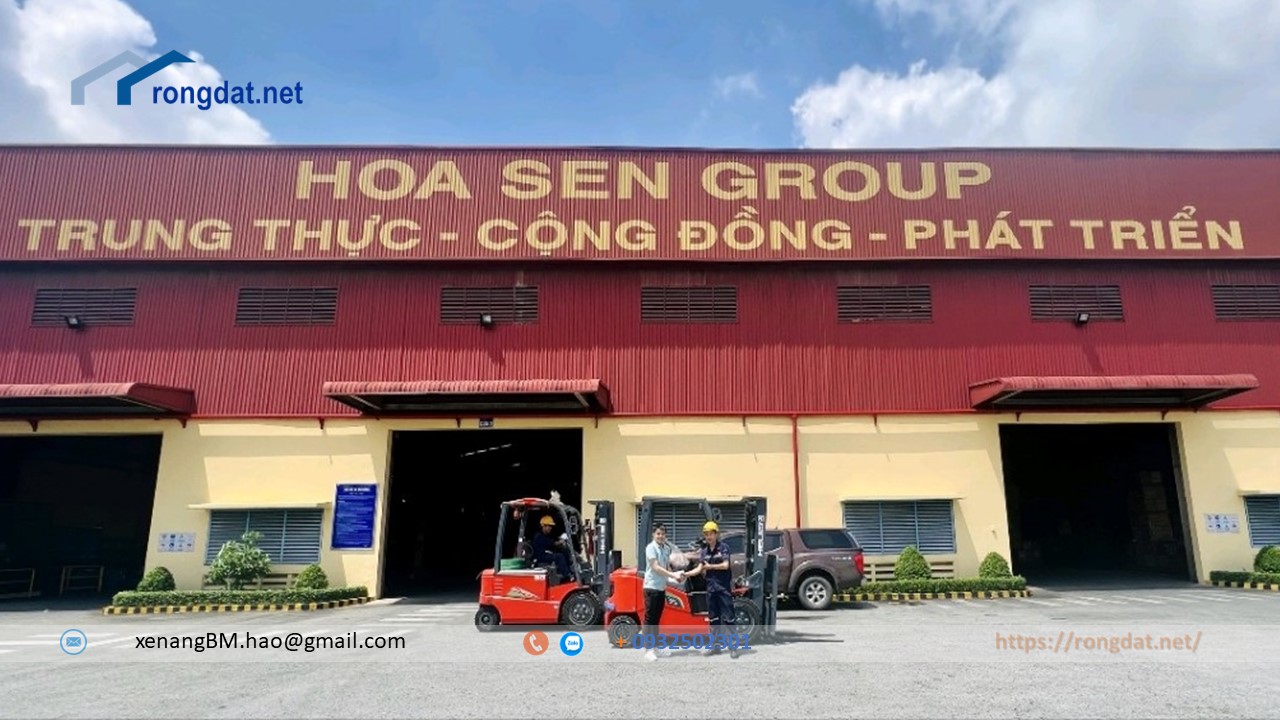 Xe nang hang HELI Giai phap hoan hao cho nhu cau van chuyen hang hoa 1