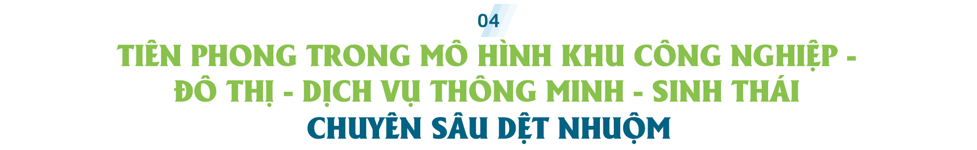 Giai bai toan dau vao cua nganh Det May Viet Nam. 12